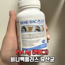 펫플러스 | 반려동물유산균 펫에그 비니백플러스 후기 장건강 변화 솔직리뷰