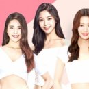 수약손 네이버블로그