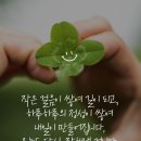 파워라인 이미지