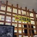 추성로 1205 | 담양 맛집? 추성로1205 떡갈비 먹고 후회한 솔직 후기