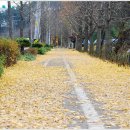 회암소류지 이미지