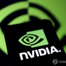 엔비디아, 역대 최고가 경신…시총 1위 등극 이미지