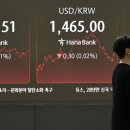 엔씨엔젤