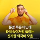 414회 : 분명 욕은 아닌데 K - 비속어처럼 들리는 신기한 외국어 모음 이미지
