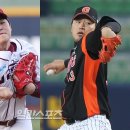 화끈한갈매기 이미지