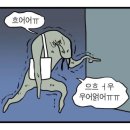 마더떡볶이 - 금천구 독산로109길 18 | 배탈인 줄 알았는데 맹장이 터졌습니다… (충수염 수술 후기)