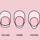 손톱모양 이미지