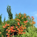 대성자동차마을 이미지