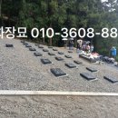 진안산소 이미지
