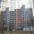 북구-11(금곡대로) 이미지