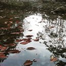 천진암로 이미지