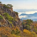 고운초등학교 이미지