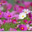 하늘바람 메디칼 이미지