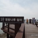 강진-34 이미지