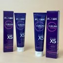 팜스발리 이미지