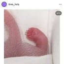 계향치킨 | [용인맛집/구갈동맛집]계향치킨::바삭하니 이차로 가기 좋은 치킨집!