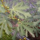 안동민박 이미지