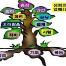 믿음 - 세종특별자치시 보통1길 124 | 믿음