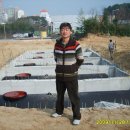 돼지꿈주유소 이미지