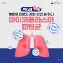 보눔172 이미지