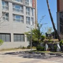 그린하우스 무인모텔 | 영천 완산동의 숨은 핫플! 비스포크 무인캡슐카페 &amp; 한강라면 완벽 정복 후기