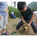 대가초등학교 이미지