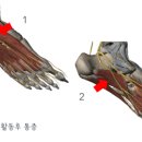 보듬한의원 이미지