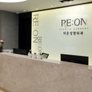 리온 메디 이미지