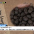 한국전복연구소 이미지