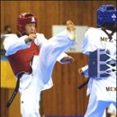 천년태권도체육관 이미지