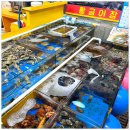 천지수산 이미지