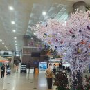 김해공항 국내선 이미지
