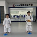 용인대 장곡유도관 네이버블로그