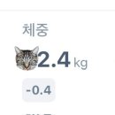 센텀시티역 | 해운대 센텀시티역 피부과 다이어트 한약 2주 복용 후기