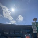반쪽이 상상력 박물관전 | 용인포은아트 갤러리 - 반쪽이의 상상력 박물관전 후기!! 꺄오~ 잼있어 ^^
