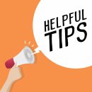 국제애견 이미지