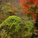 증심사길 이미지