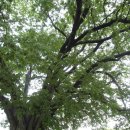 무을초교 이미지