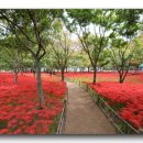 봉곡동274 이미지