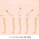 바디S 이미지