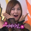 로터스모텔 이미지