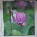경동철학관 네이버블로그