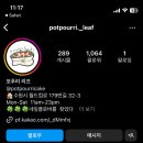 포푸리리프 이미지