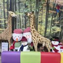 엔젤아이의원 이미지