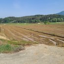 운암농로 이미지