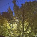 요가(오전) 이미지