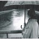 우산속라이브 이미지