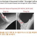 한국바이오비료