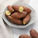 꿀밤농장 | 6시 내고향 해남 고구마 농장 정보 알아보기