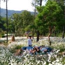 율곡수목원(3) 이미지